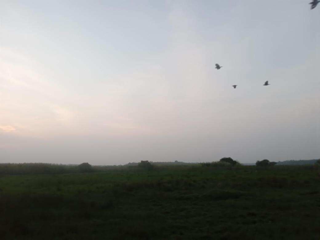 Lagoon Birds - Tangalle Ξενοδοχείο Εξωτερικό φωτογραφία